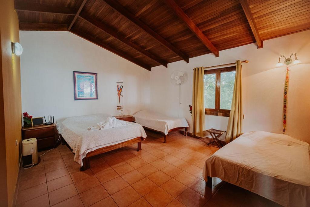 Lodge Mirador - Great Swimming Pool - Kitchen - Bbq - Netflix Tajo Alto Exterior foto