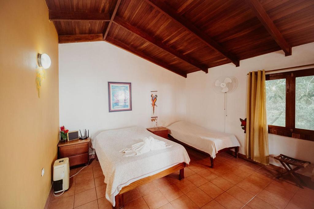 Lodge Mirador - Great Swimming Pool - Kitchen - Bbq - Netflix Tajo Alto Exterior foto