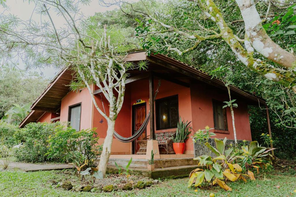 Lodge Mirador - Great Swimming Pool - Kitchen - Bbq - Netflix Tajo Alto Exterior foto